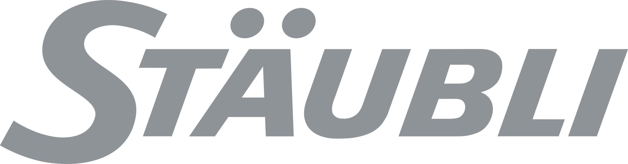 Stäubli logo - official NAS partner